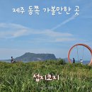 6월 | 제주 섭지코지 산책 코스 추천 및 소요 시간 6월 방문 후기 (feat. 휘닉스파크 산책)