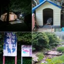 서울근교 캠핑장 남양주 &#34;힐링별밤수목원 캠핑장&#34; 힐링 9 후기