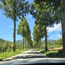 운일암숲펜션 이미지