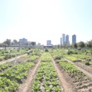 성동농장2 이미지