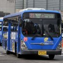 경희유치원 앞 이미지