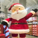 (주)지오비스 평택지점 | 평택 코스트코 크리스마스 장식템 총정리🎄 LED 트리·인형·장난감·푸드코트까지 후기