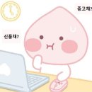 거제 골프샵 입문용 중고 풀세트 vs 신품 비교 후 구매한 후기