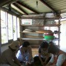 박씨농장 이미지