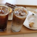 일바치오