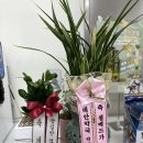 예쁜나무약국 이미지