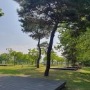 ㈜좋은자리 | 여주 금은모래 캠핑장 14번데크 이용후기 남한강 출렁다리 트레킹