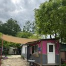 솔다람숲캠핑장 | 서울근교) 가평에서 당일치기 글램핑+피크닉, 방갈로 즐기기🏕️ “솔다람숲 힐링파크”_내돈내산 찐후기😳‼️