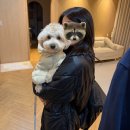 치우와겁쟁이들 | 2025. 24