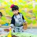 세담방 이미지