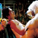 인애유통 이미지