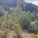 앙성초 영죽분교 이미지