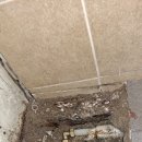 미쉐린타이어용원점 이미지