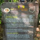 어린이회관역 입구 및 계단하부(교통섬) | 울릉도 1일차 여행 내수전 일출전망대, 봉래폭포 (가는 방법, 운영시간, 관람료, 주차, 포토존 등)