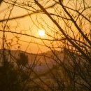 대부해솔길 6-2코스(순환코스) 이미지