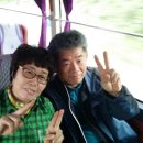 김상용농장 Daum카페