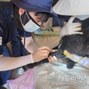 성원동물병원 이미지