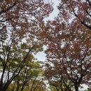 부천에 오심을 환영합니다~^^ 이미지