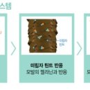 비비드미용재료