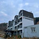 포레스트펜션 | 가평펜션 캠프통 포레스트 놀거리 후기! (수영장, 찜질방, 바베큐, 불멍)