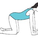 요가&스트레칭 이미지