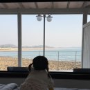 만3세 아이랑 태안 섬인섬펜션 2박3일 | 서해 바다 첫 여행 솔직 후기