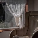 해피 파마씨 이미지