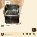 효은푸드 | 나는 감정없는 사이코라 그런가 고3 기말이어도 미동도 안함