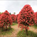 해선농장 이미지