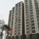 소양강양우내안애 이미지