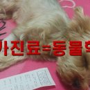 삼돈메디칼 이미지