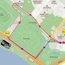대한민국라이브투