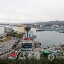 묵호항 북방파제 이미지