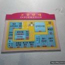 사파동212 이미지