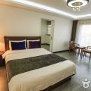 더 세리 호스텔 Daum카페