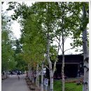 낙원농장2 이미지