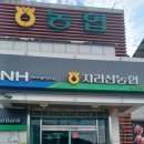 지리산농협 산내지점 | 지리산농협 산내지점