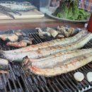 광주 풍천 장어 이미지