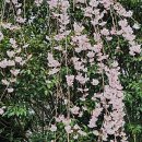 2호선 동백역 4번출구 이미지