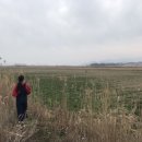 영농조합법인  우보 이미지