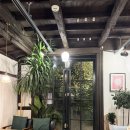 송학 | | 경남 | 진해 목향장미 명소 카페, 목향장미 포토존, 평일 저녁 방문 후기 “송학커피”