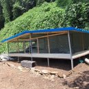 동물보육원 이미지