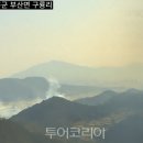 장흥 베스트 의원 이미지