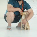 (주)케어메이트 이미지