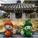 영암마트 송정점 | 완도섬 여행 등대 관광 1박 2일/보길도, 완도타워, 장도, 완도수목원