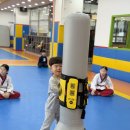 용인대 성민 태권도(반곡관) | 용인대 성민 태권도(반곡관)/세종시 태권도/반곡동 태권도/세종시 반곡동 태권도/ 🌱 예비초 1학년 새...