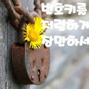 권선동 티스토리