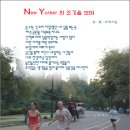 New Yorker 의 조깅을 보며 / 無一우학스님 .....New York 에서 보내셨습니다 이미지
