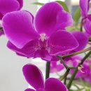 덕인축산 이미지