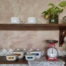 스테이 도토리 이미지